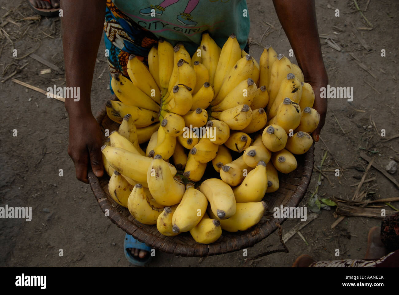 Young boy holding bunch of Bananas Congo DR Africa Stock Photo