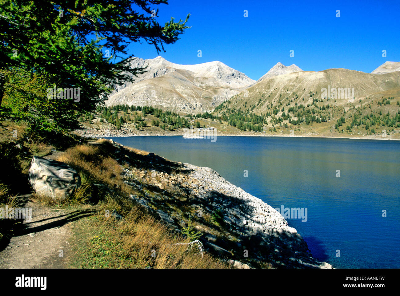 Allos Lake, Alpes de Haute, Provence, France, Europe Stock Photo