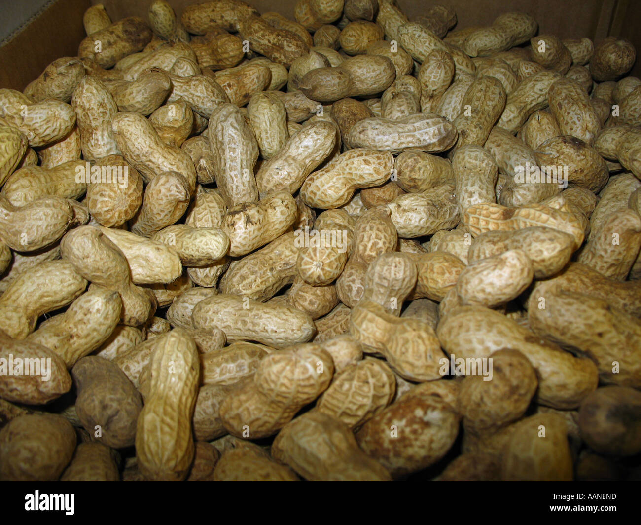 Peanuts, ready for sale Stock Photo Alamy