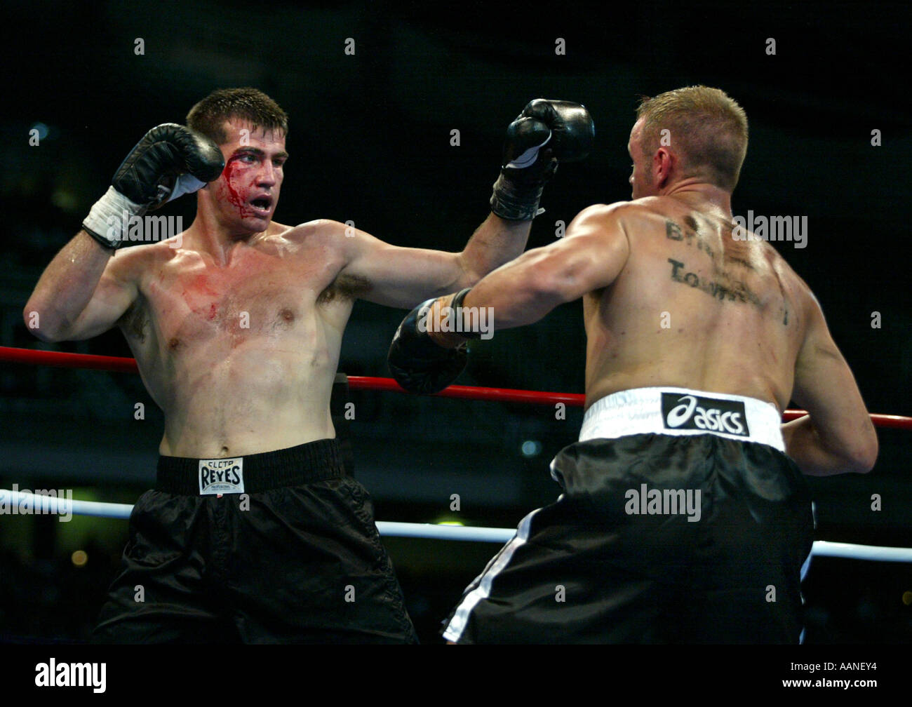 Why Do Boxers Bleed at Richard Collins blog