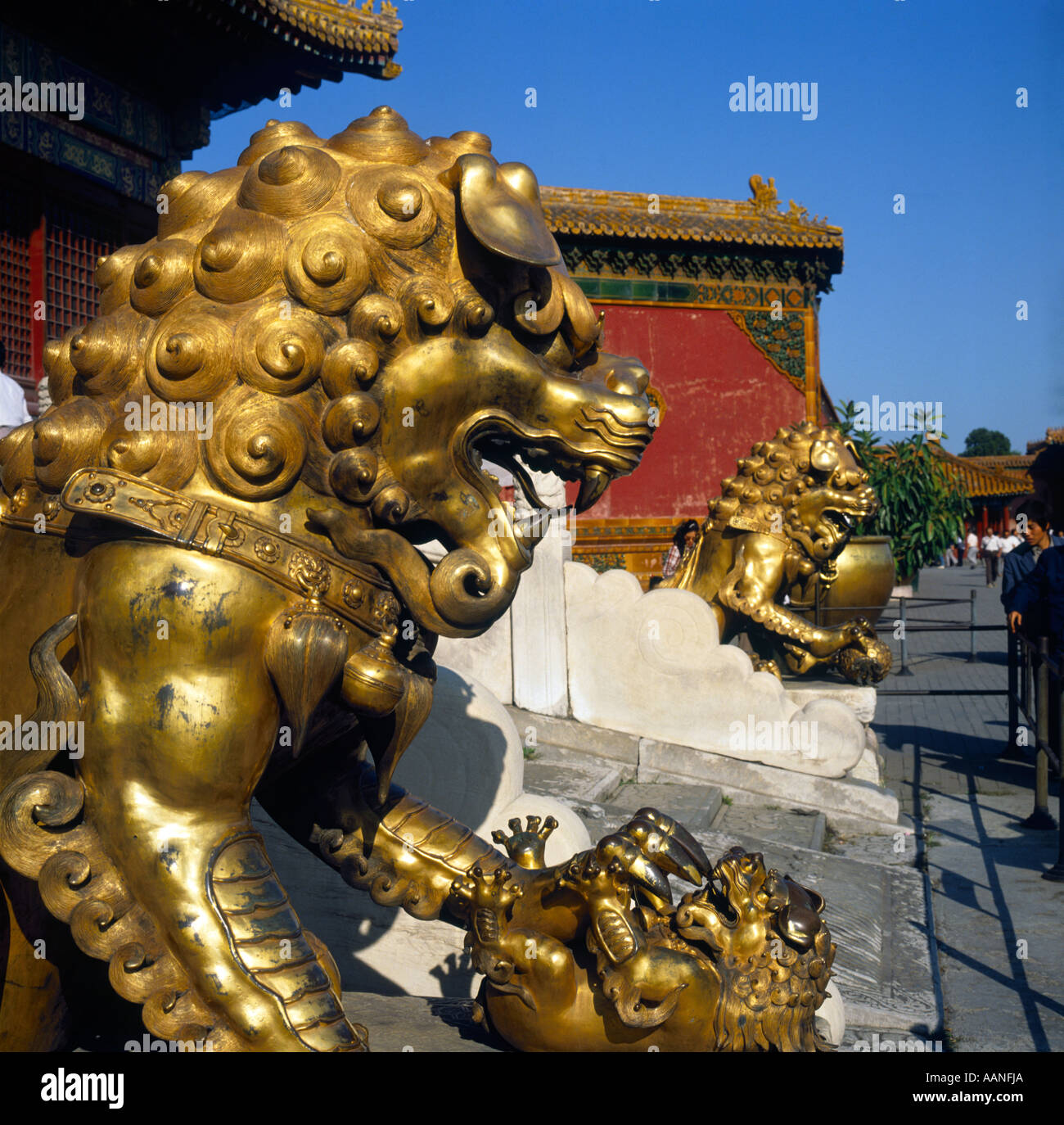 Detail and close-up of magnificent metal rampant oriental golden dragon statues in the Forbidden City in Beijing China Stock Photo