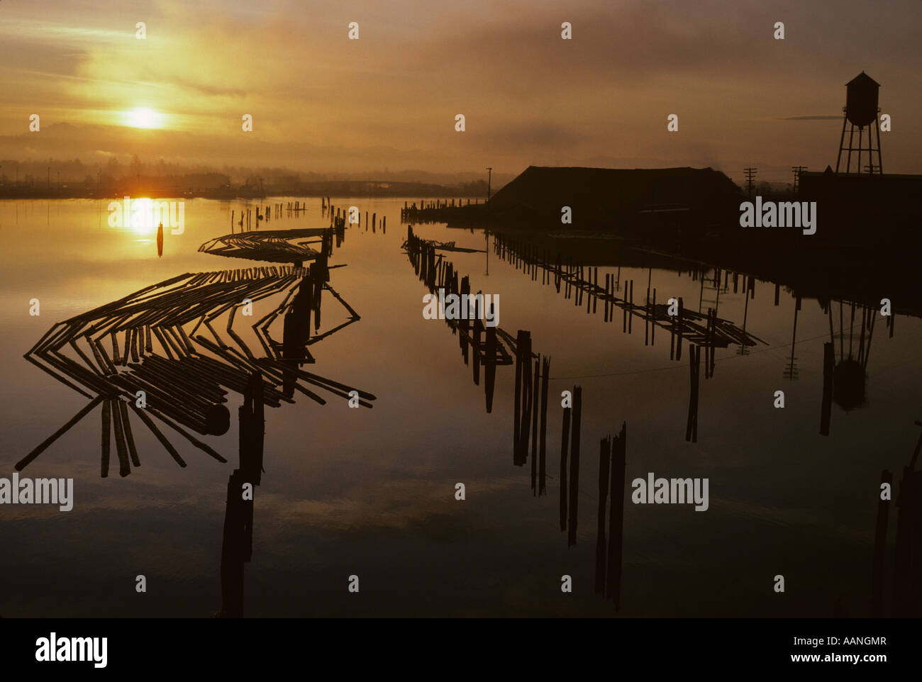 Sunrise over slough with silhouetted pilings and lumber on waterway