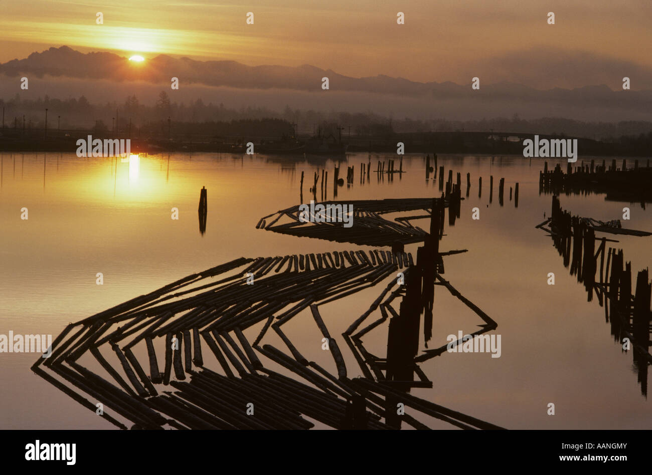 Lumber mill hires stock photography and images Alamy