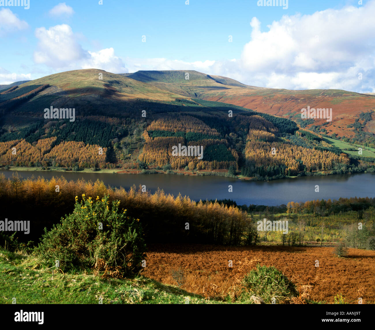 talybont reservoir and waun rydd from tor y foel brecon beacons ...