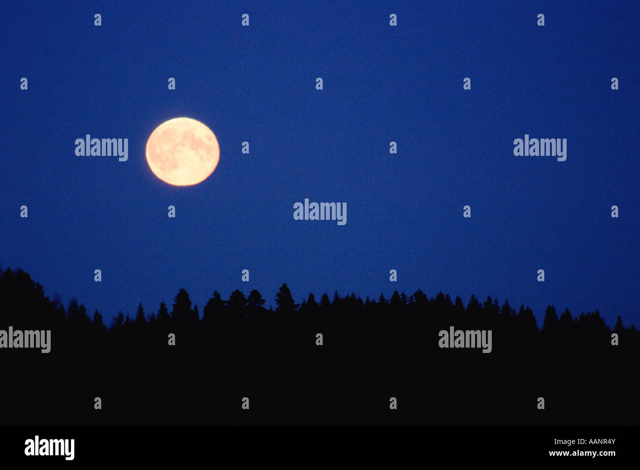 full moon, Finland Stock Photo