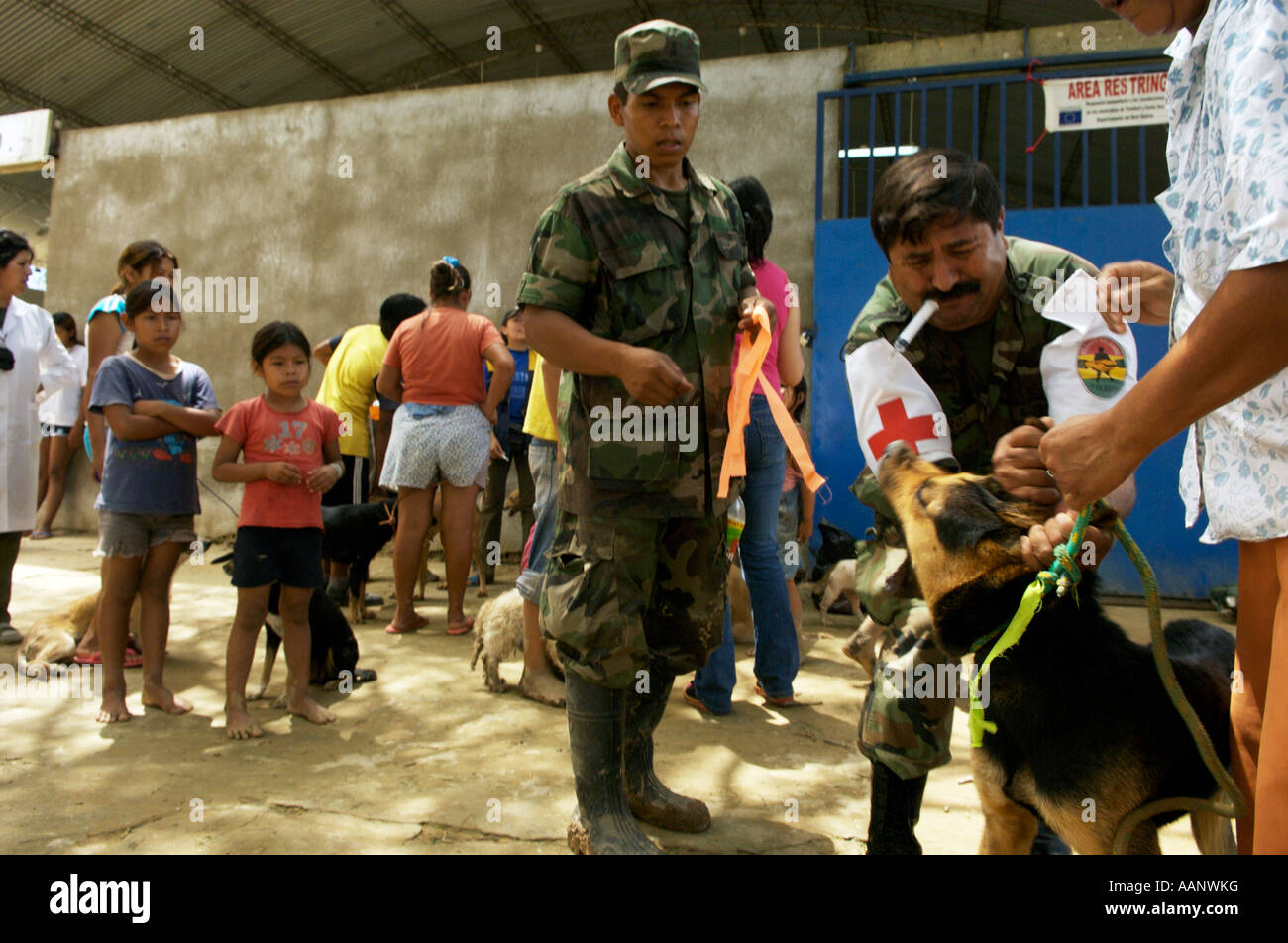 World Society for the Protection of Animals (WSPA) inoculate pets in