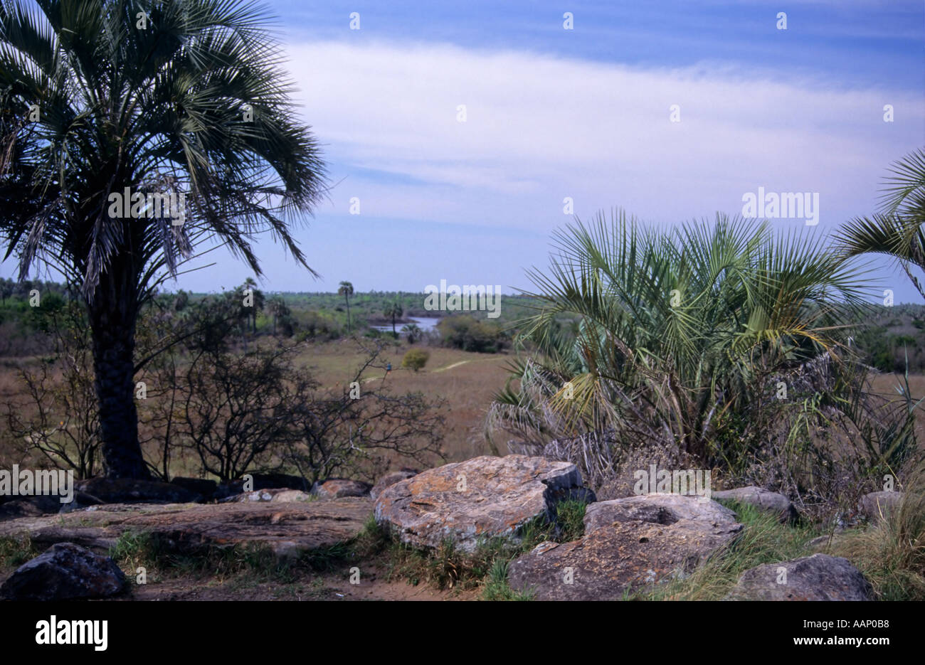 El Palmar National Park, Argentina Stock Photo