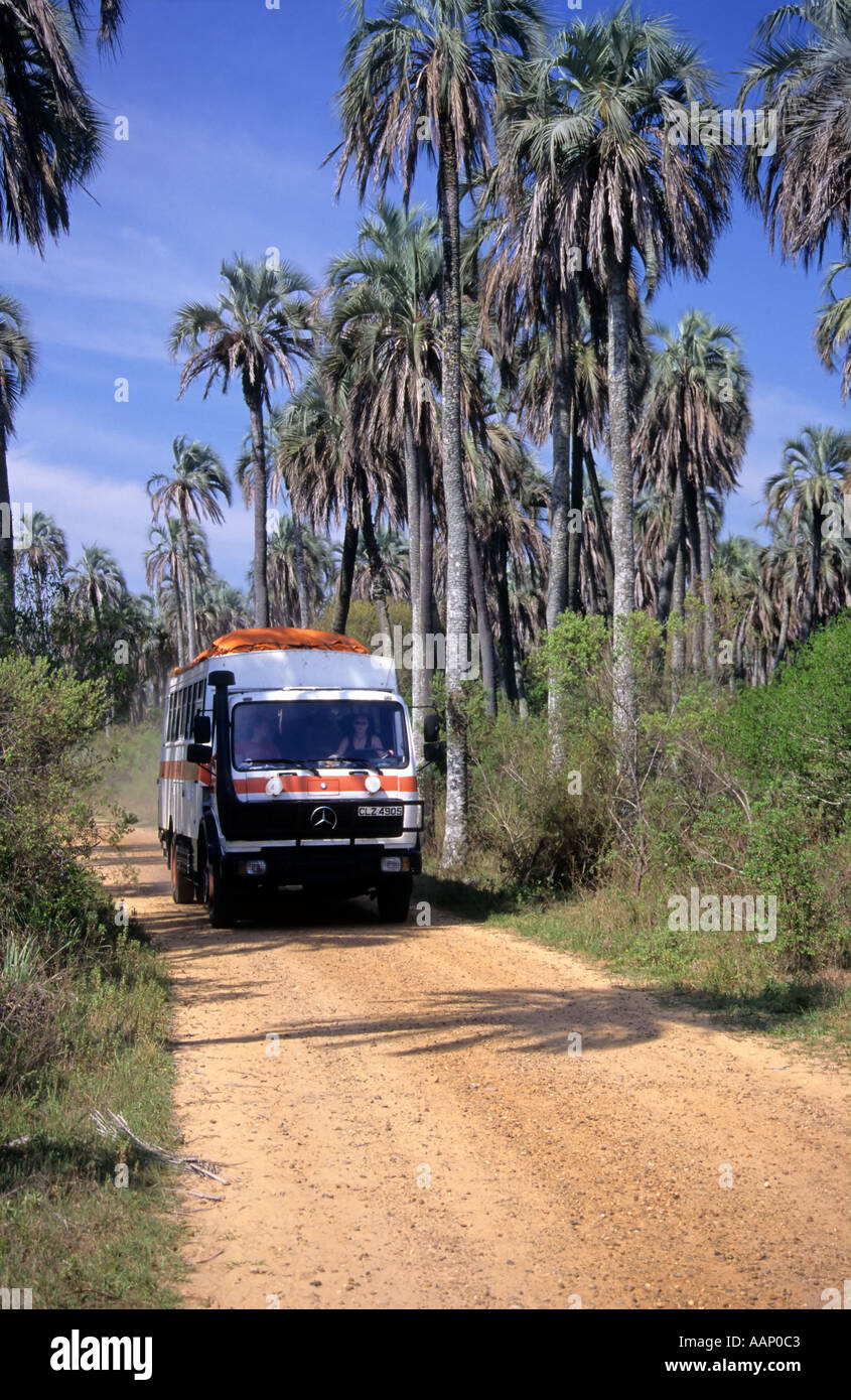 Tourist overland truck driving through El Palmar National Park, Argentina Stock Photo