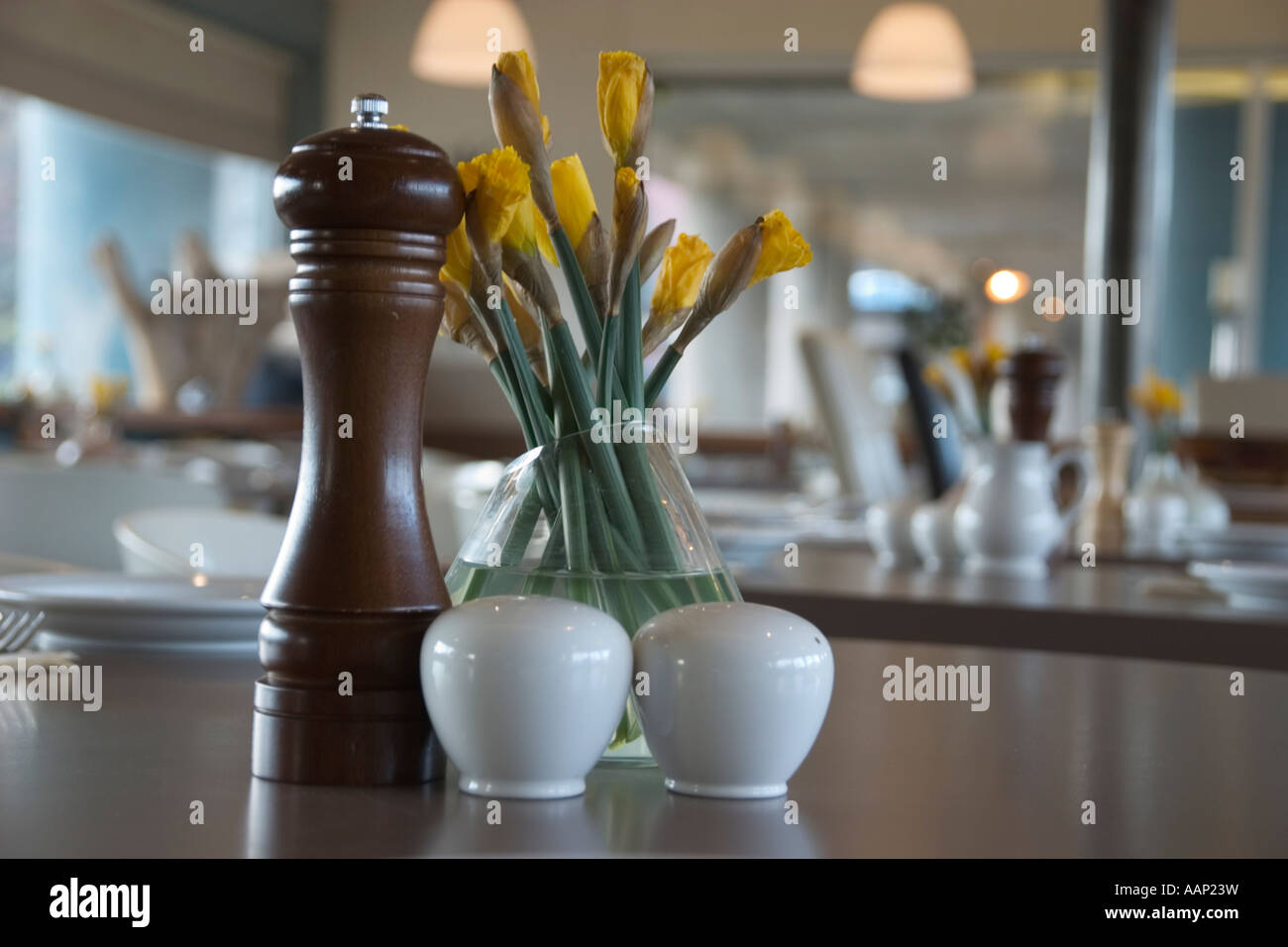cafe table salt pepper Stock Photo
