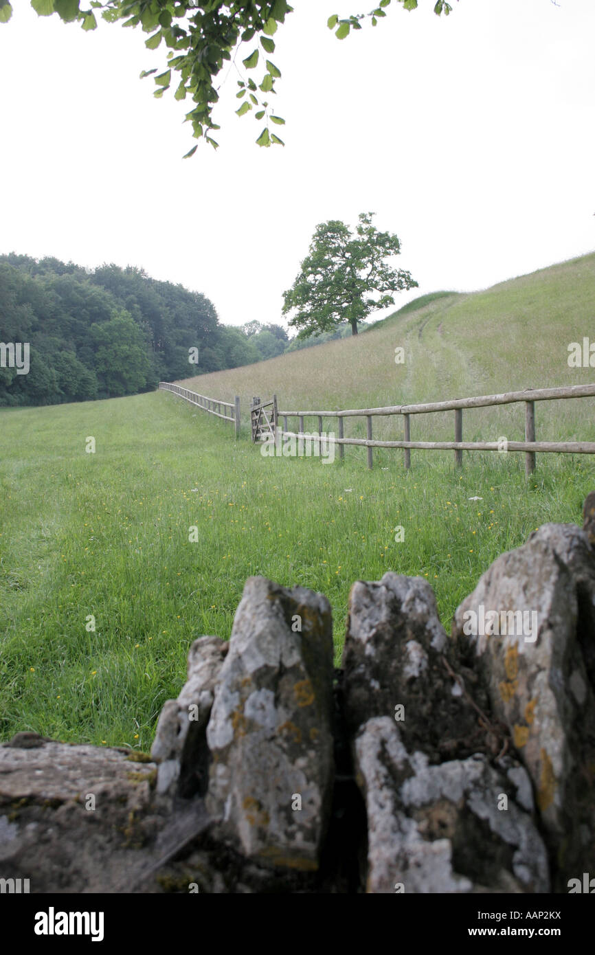 Stonesfield common in Oxfordshire Stock Photo Alamy