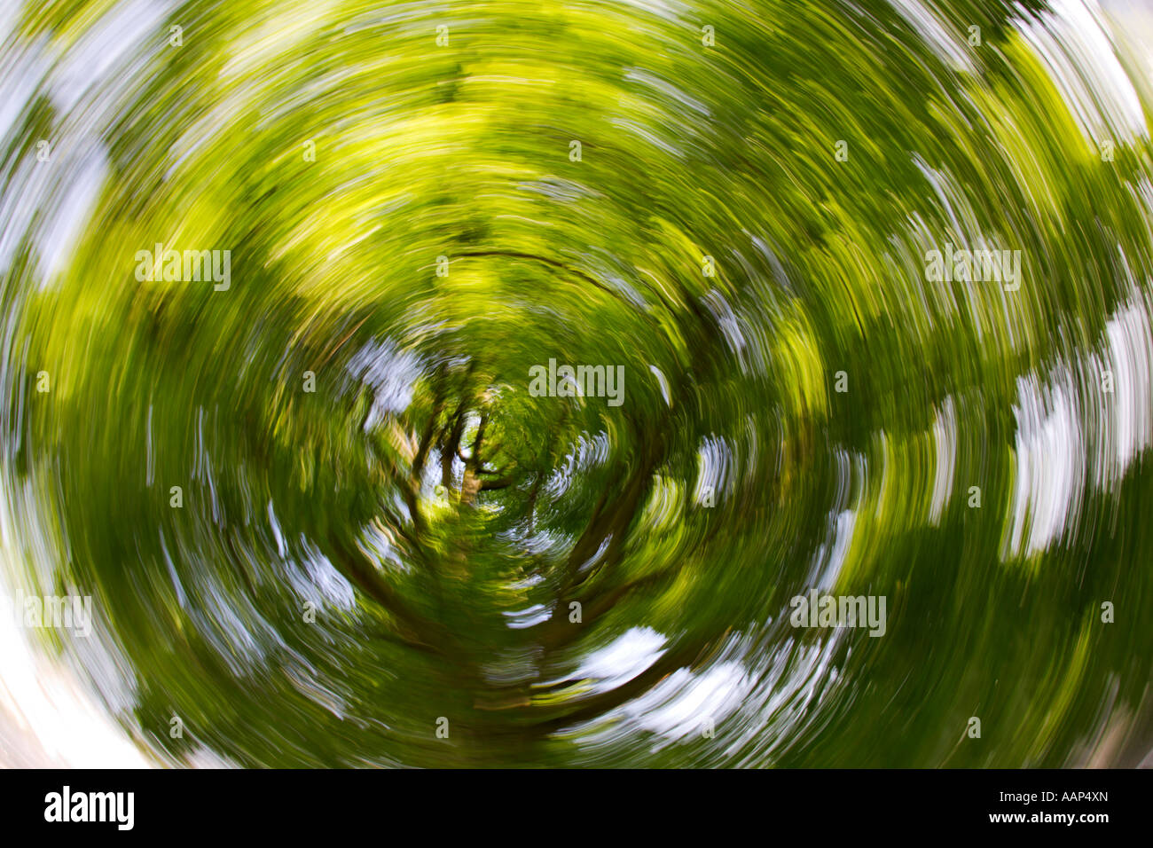 swirling blur of trees Stock Photo