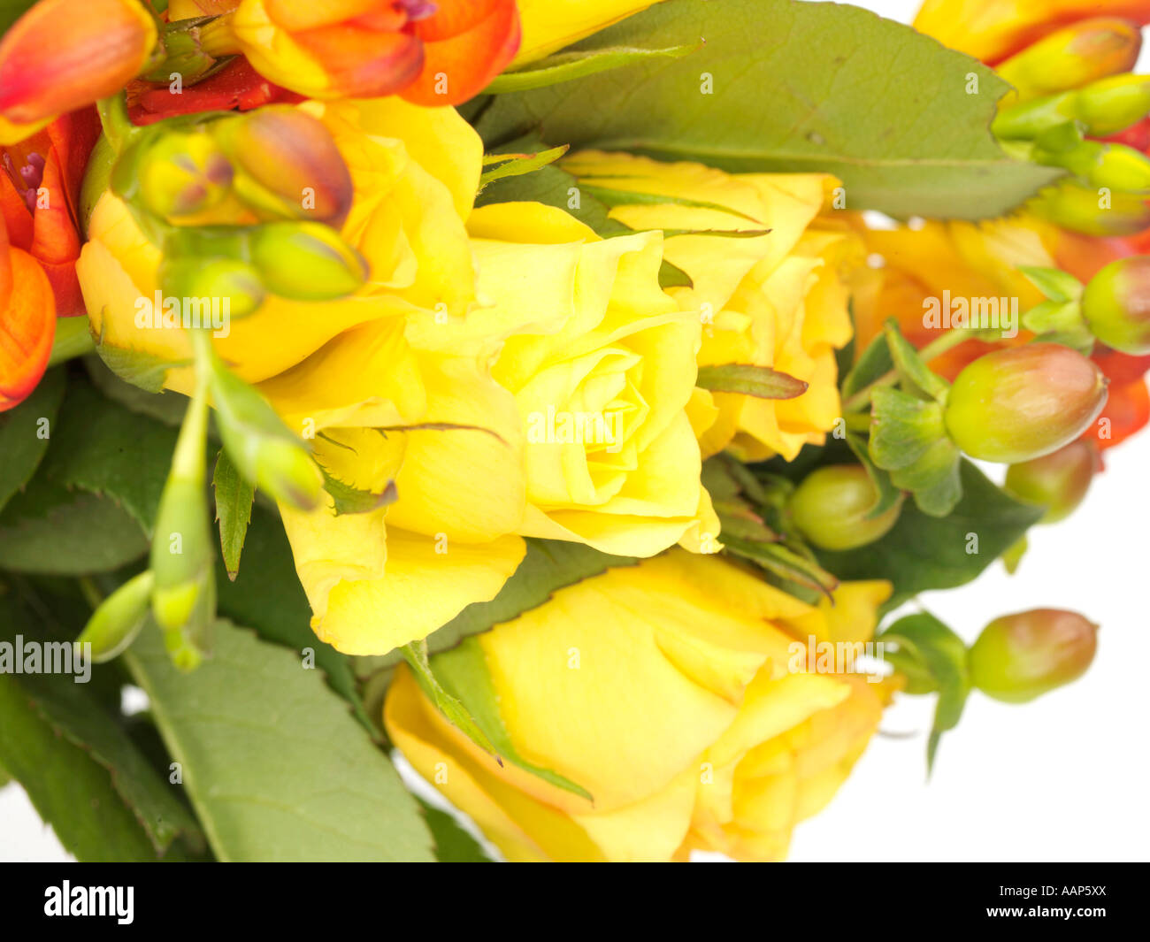 Bunch of Flowers Stock Photo Alamy