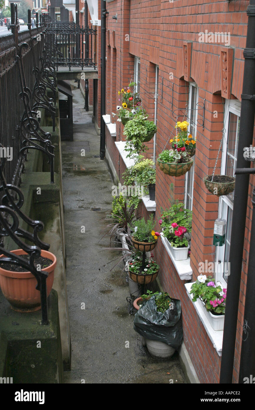 Basement garden hires stock photography and images Alamy