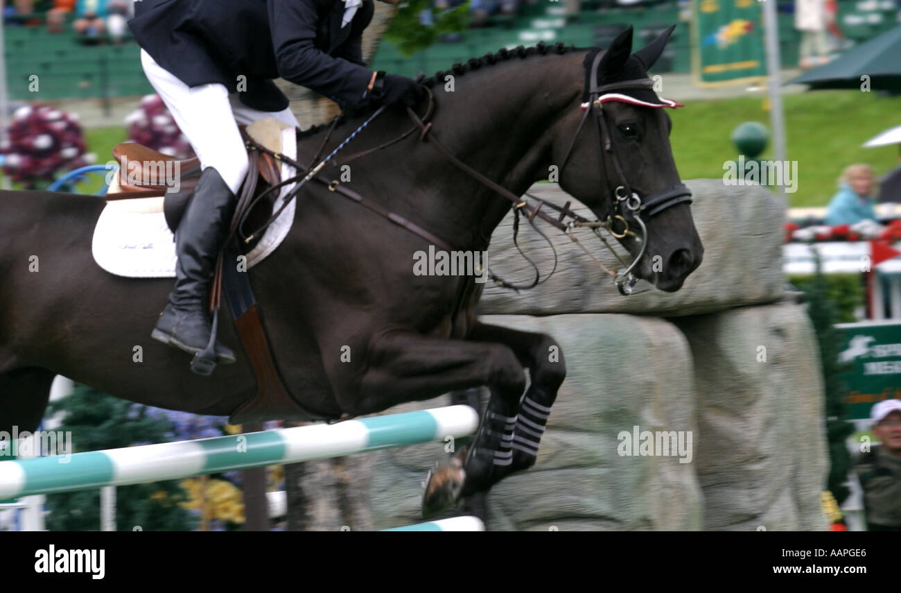 Equestrian show jumping hires stock photography and images Alamy
