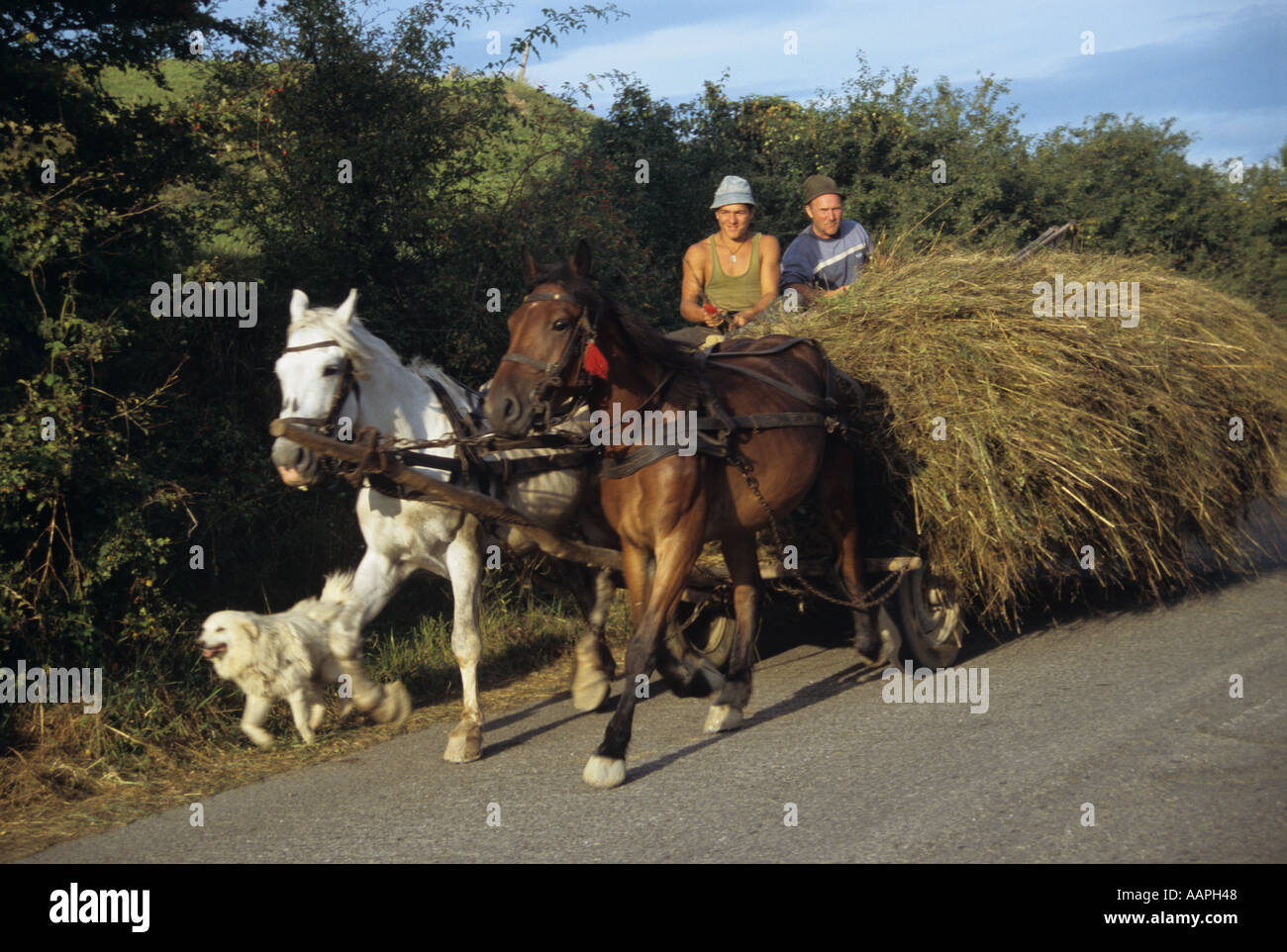 Old fashioned hay cart hi-res stock photography and images - Alamy