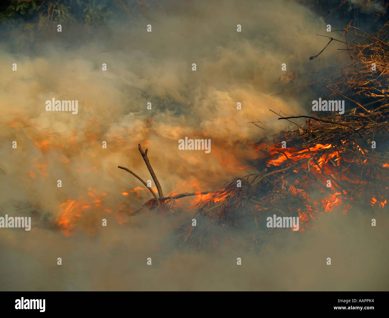 Raging fire Stock Photo Alamy