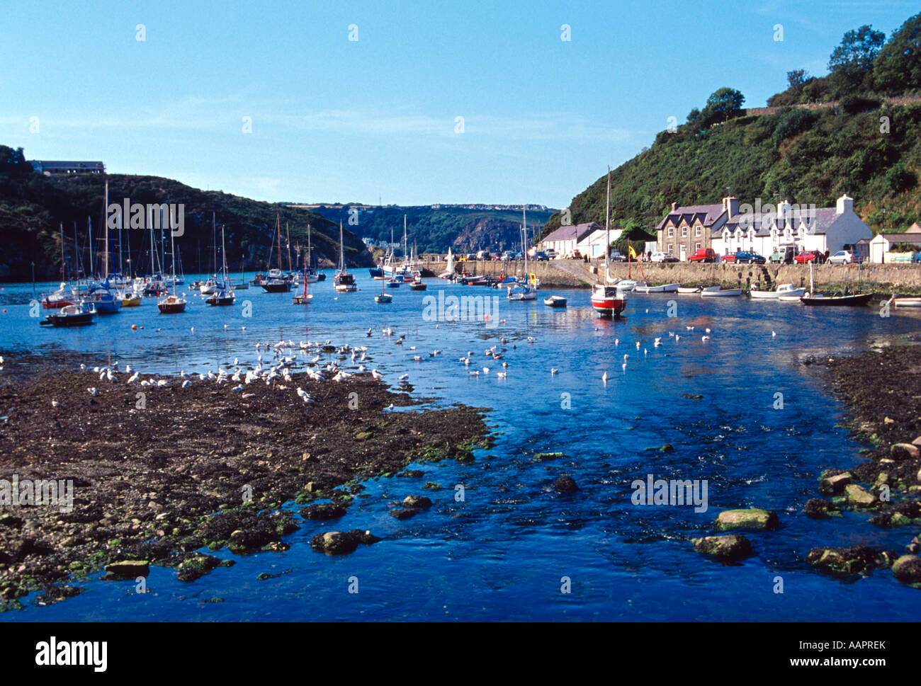 lower fishguard coastal town pembrokeshire wales uk gb Stock Photo - Alamy