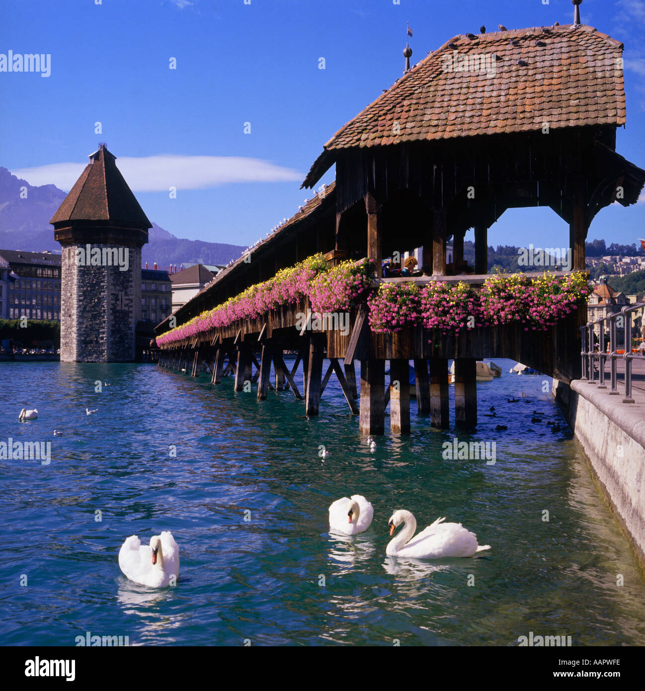 Lucerne lake hires stock photography and images Alamy