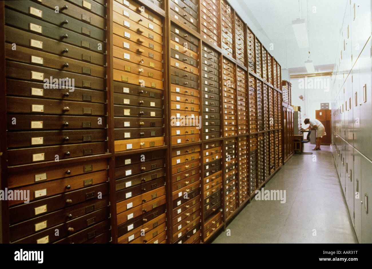 Entomology Department Stock Photo