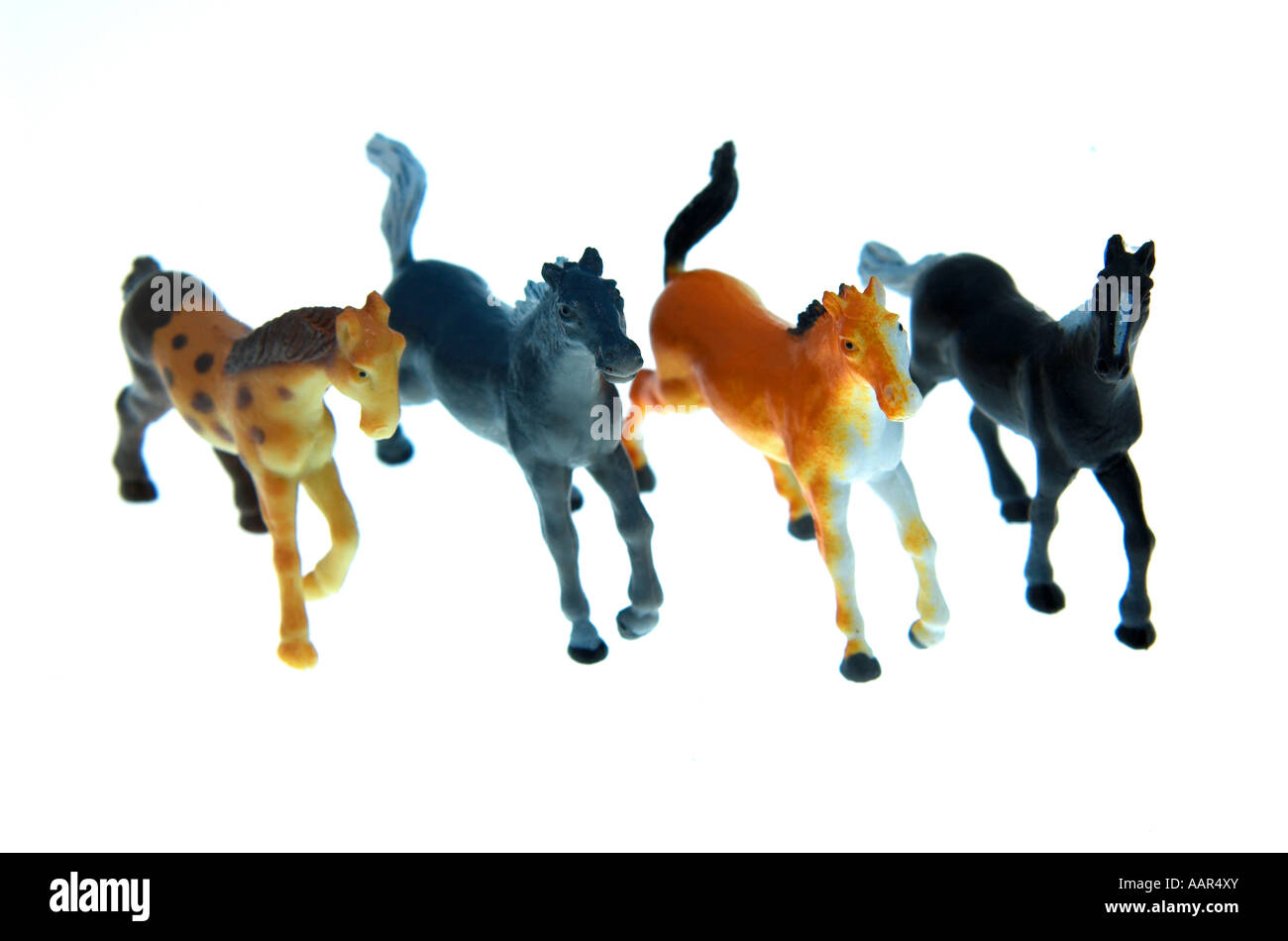 Equinine