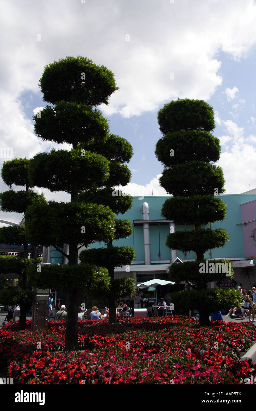 Trees Disney's Magic Kingdom Orlando Florida Stock Photo Alamy