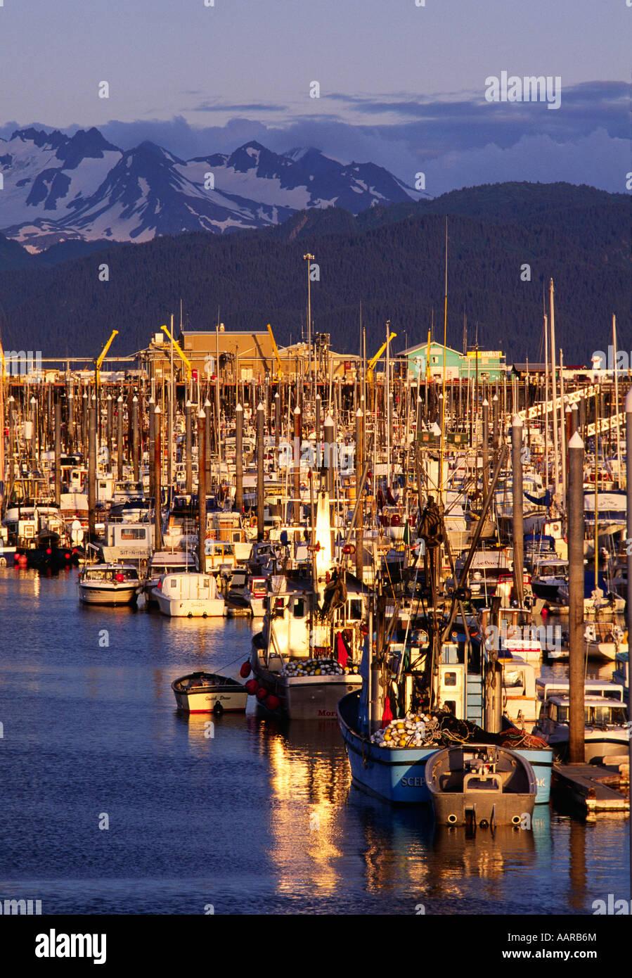 BOATS crowd the HARBOR of HOMER ALASKA Stock Photo Alamy