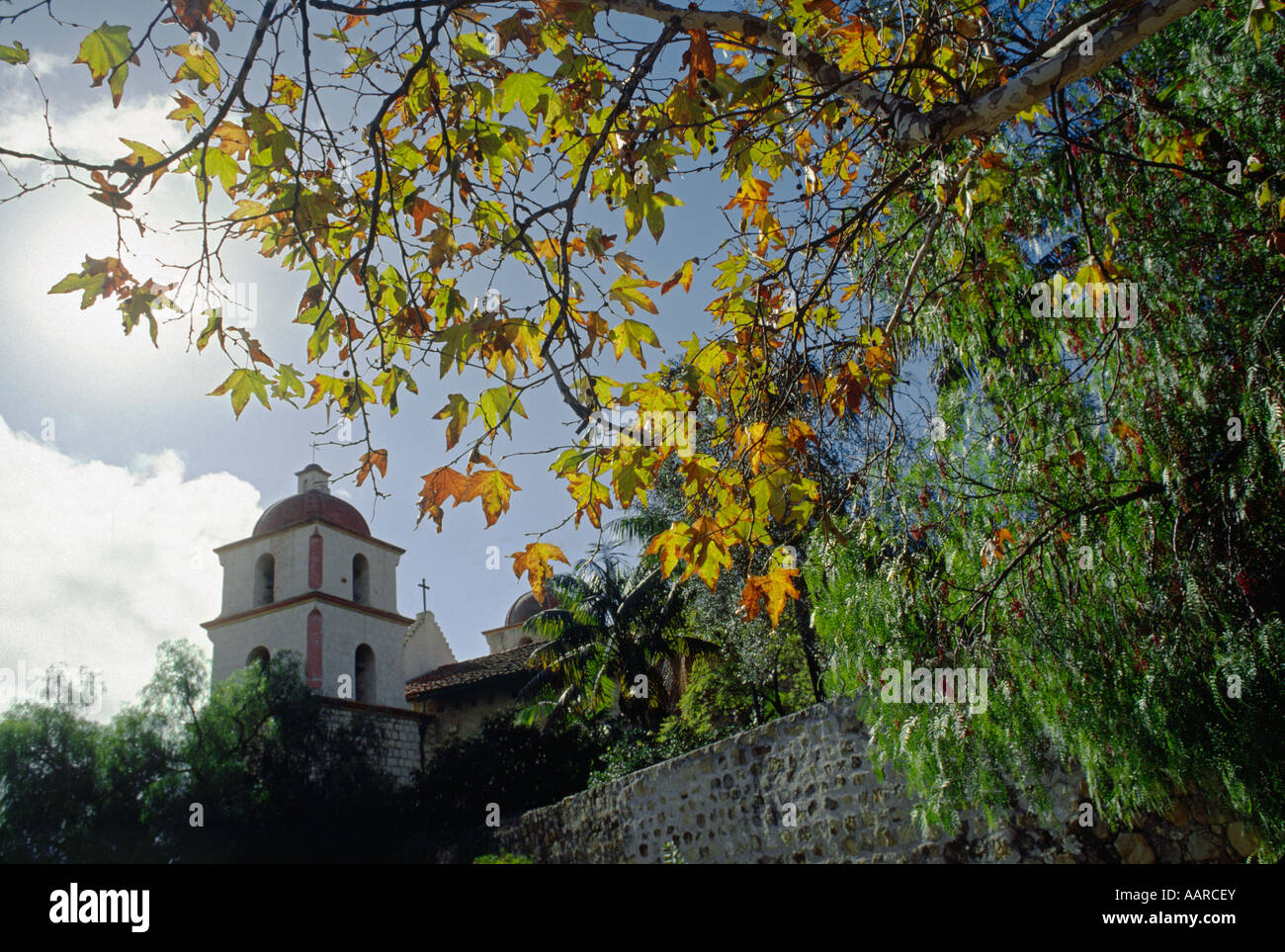 Sycamore branch frames THE SANTA BARBARA MISSION built by FATHER