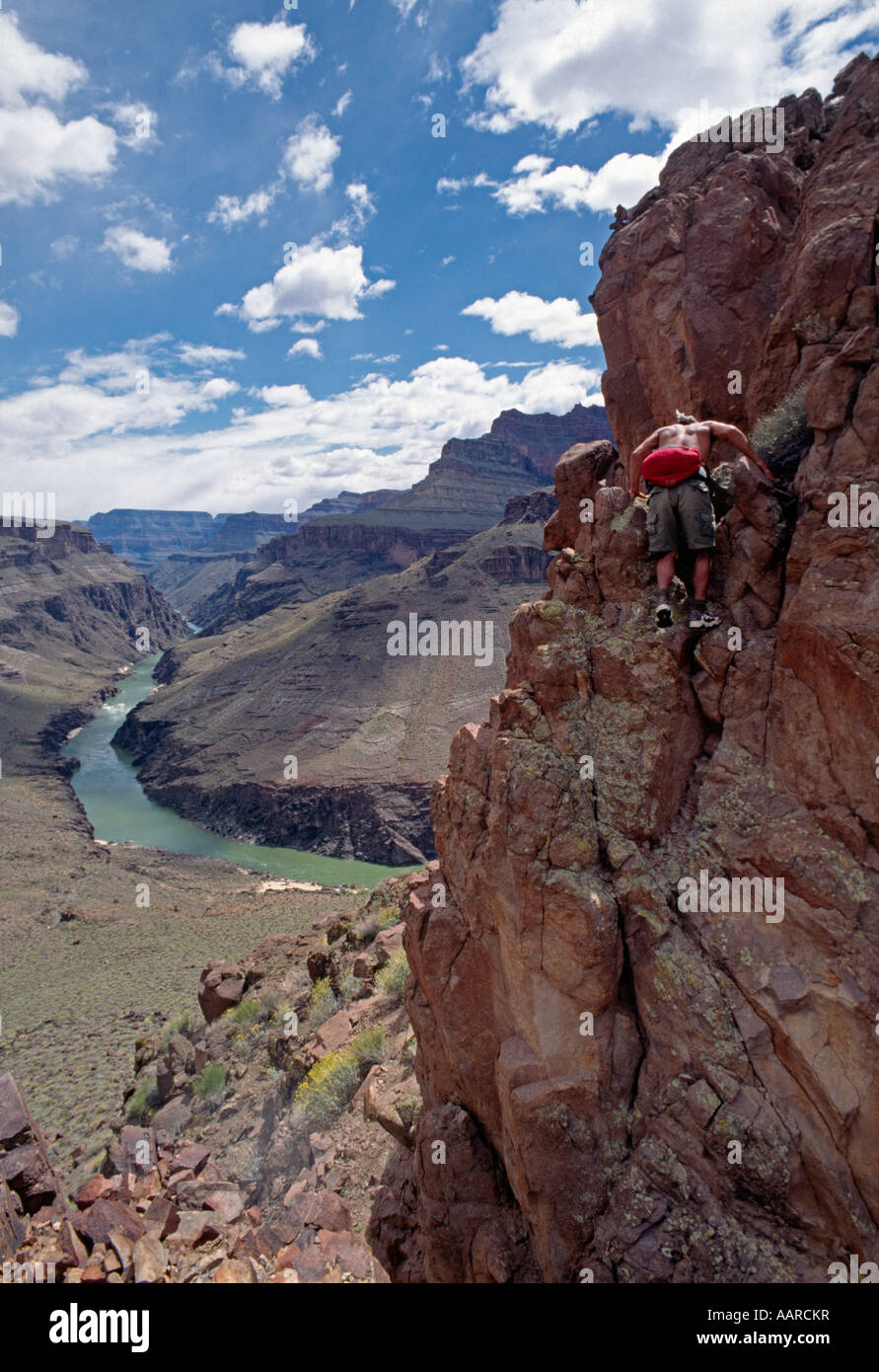 April showers bring plants to flower on the TONTO PLATEAU above SHINUMO CREEK GRAND CANYON