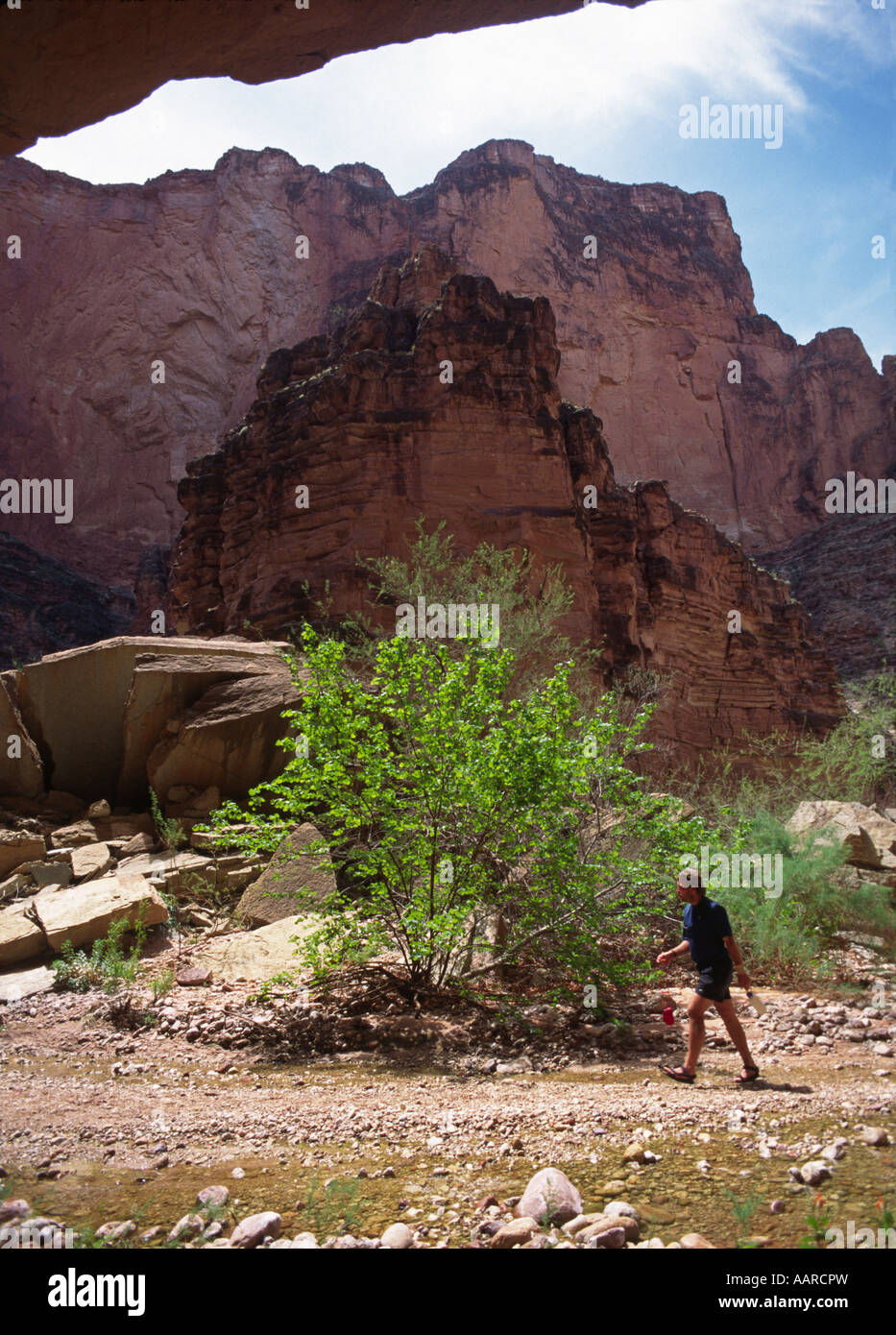 MATKATAMIBA CANYON mile 147 is considered holy by the HUALAPAI INDIANS