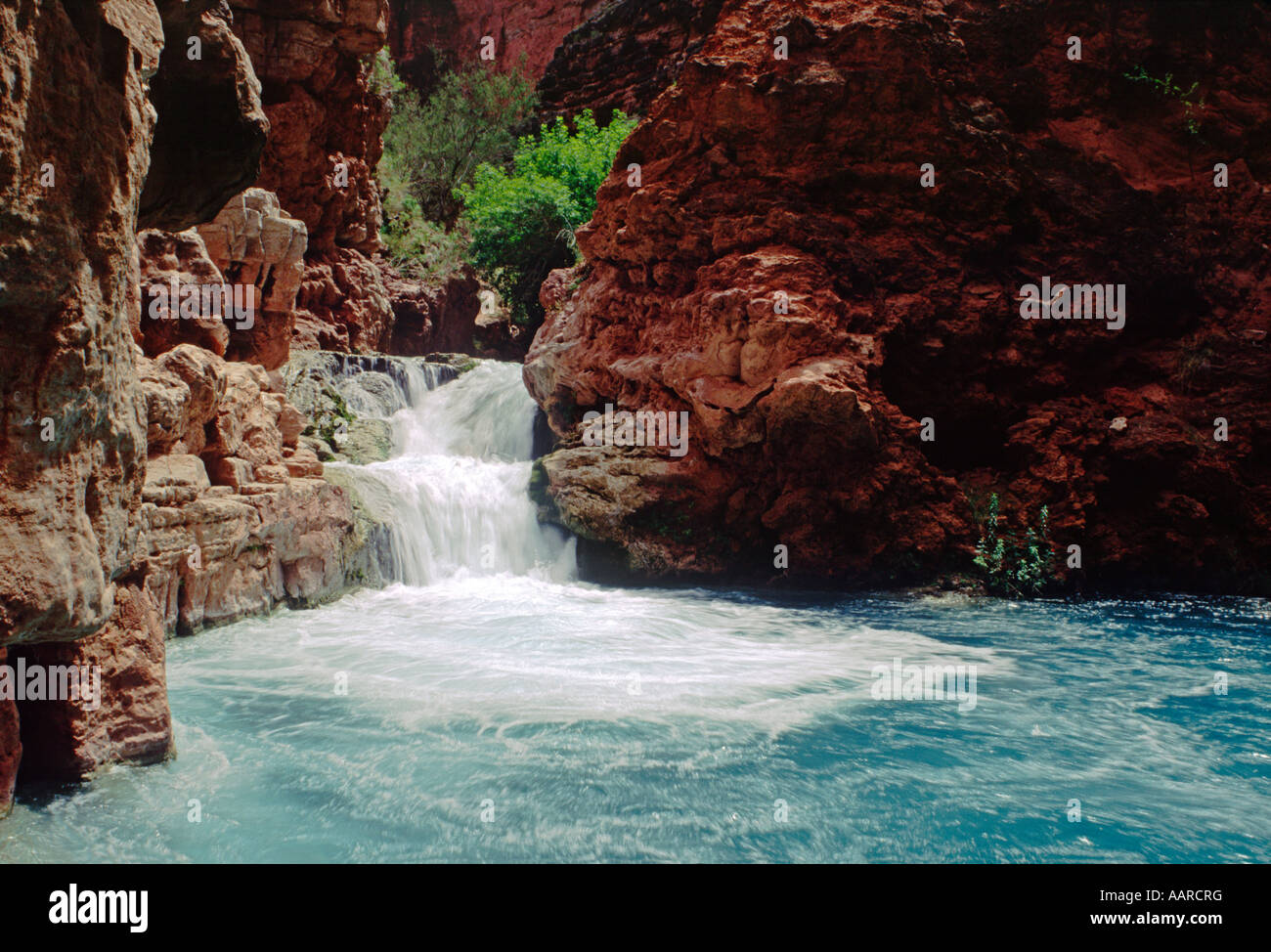 Lower BEAVER FALLS on HAVASU CREEK GRAND CANYON NATIONAL PARK ARIZONA