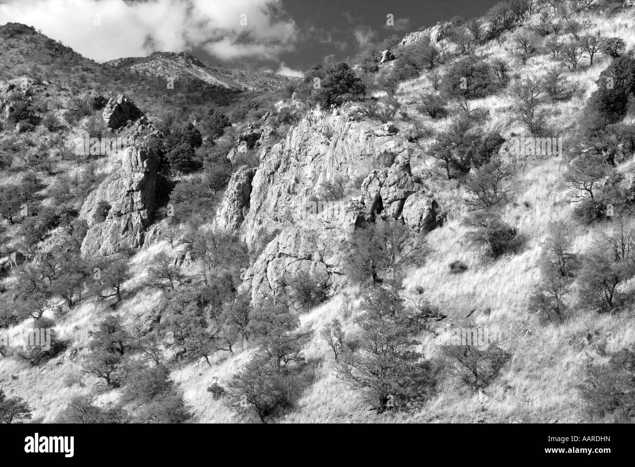 Exposed Rhyolite Strata High Chaparral Coronado National Monument Arizona Stock Photo