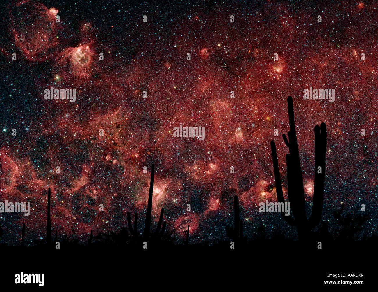 Milkyway hi-res stock photography and images - Alamy
