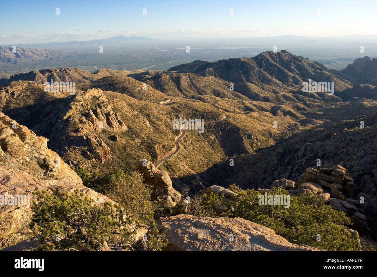 View from Mt Lemmon Arizona Stock Photo