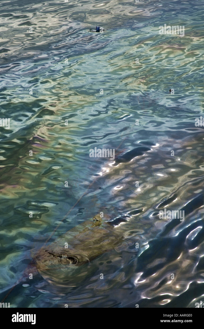 Conserving gasoline hires stock photography and images Alamy