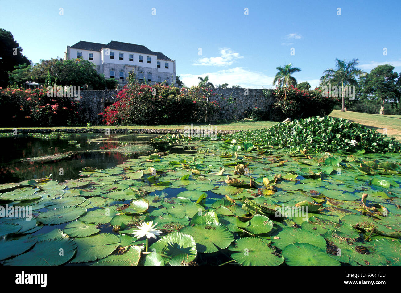 Jamaica Rose Hall Great House Montego Bay with lily pond in front Stock
