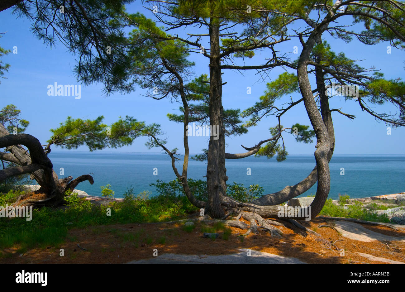Georgian bay landscape rugged rocky hi-res stock photography and images ...