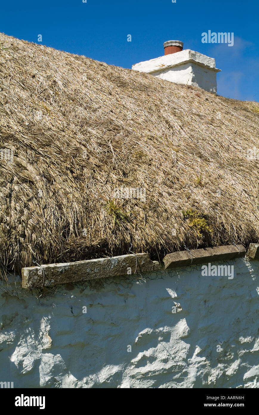 dh Laidhay Croft Museum DUNBEATH CAITHNESS Scottish Whitewashed ancient longhouse farm rush thatched roof traditional thatch close up cottage scotland Stock Photo