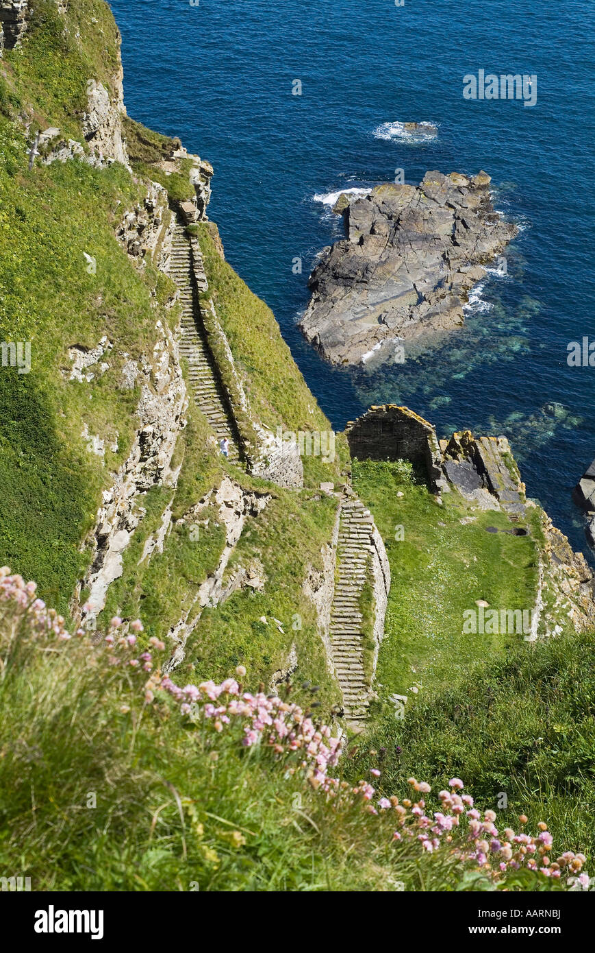 dh North coast 500 WHALIGOE CAITHNESS Steep stone steps to cove harbour carved out of seacliff rock fishing path stairs scotland walk sea Stock Photo