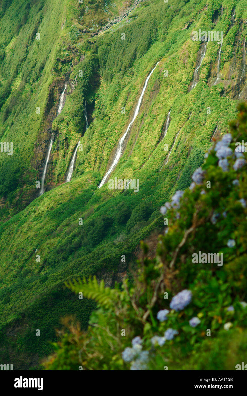 Vertical spring landscape on waterfalls hi-res stock photography and ...