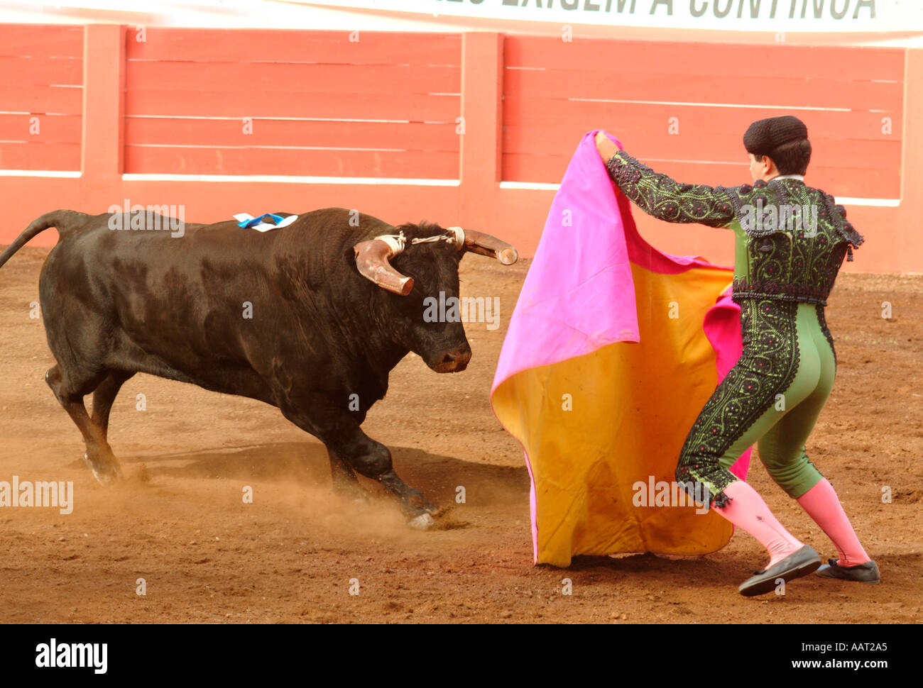 A matador encourages a bull to charge with his colorful cape at a bullfight in Graciosa, Azores, Portugal. Stock Photo