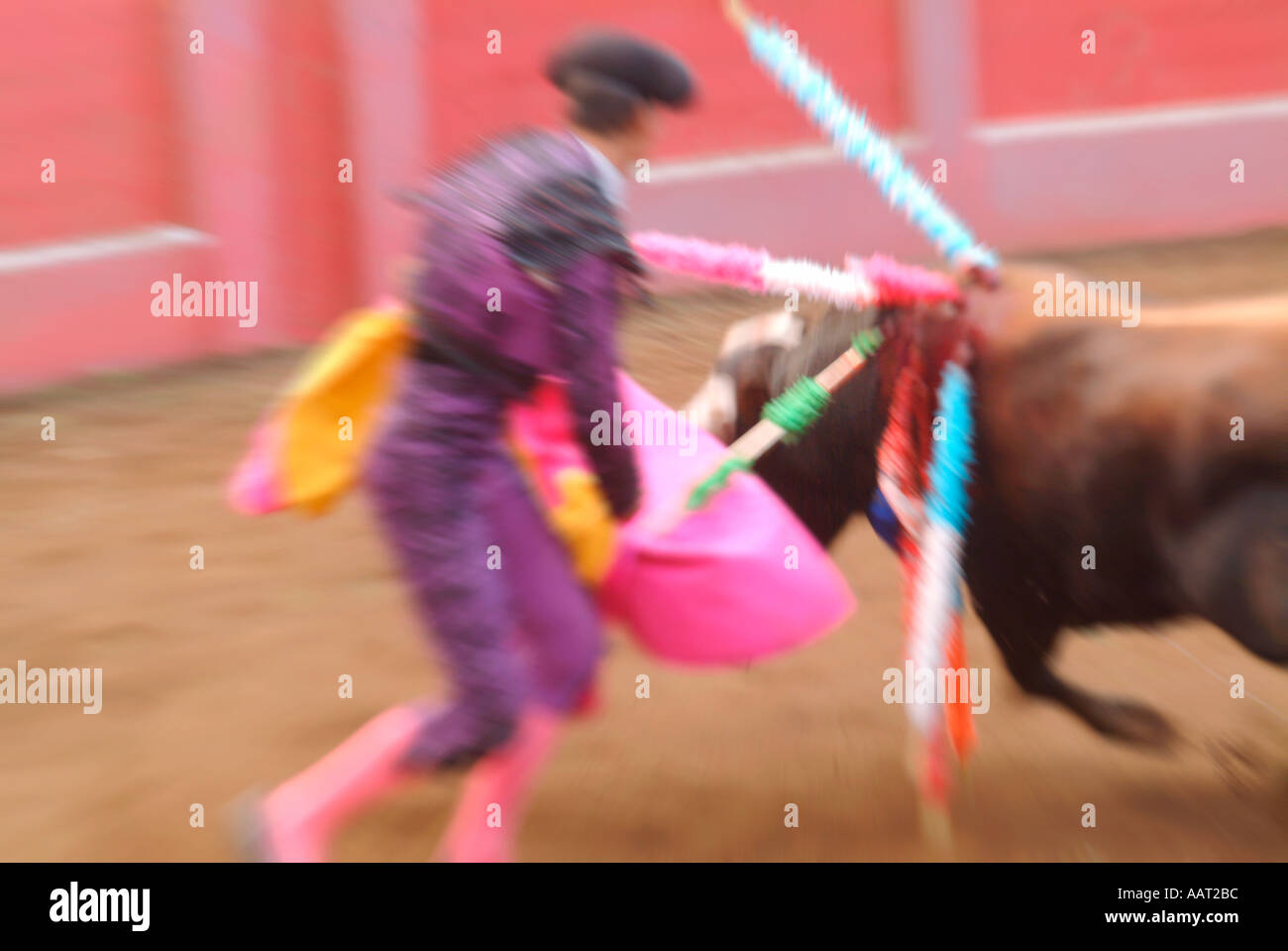 A matador avoids the charge of a bull while planting another bandeirilhas into a bull at a bullfight in the Azores, Portugal Stock Photo