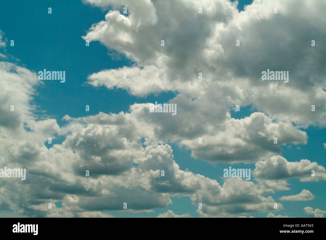 Puffy cumulus Clouds an a very clear and sunny day Stock Photo - Alamy