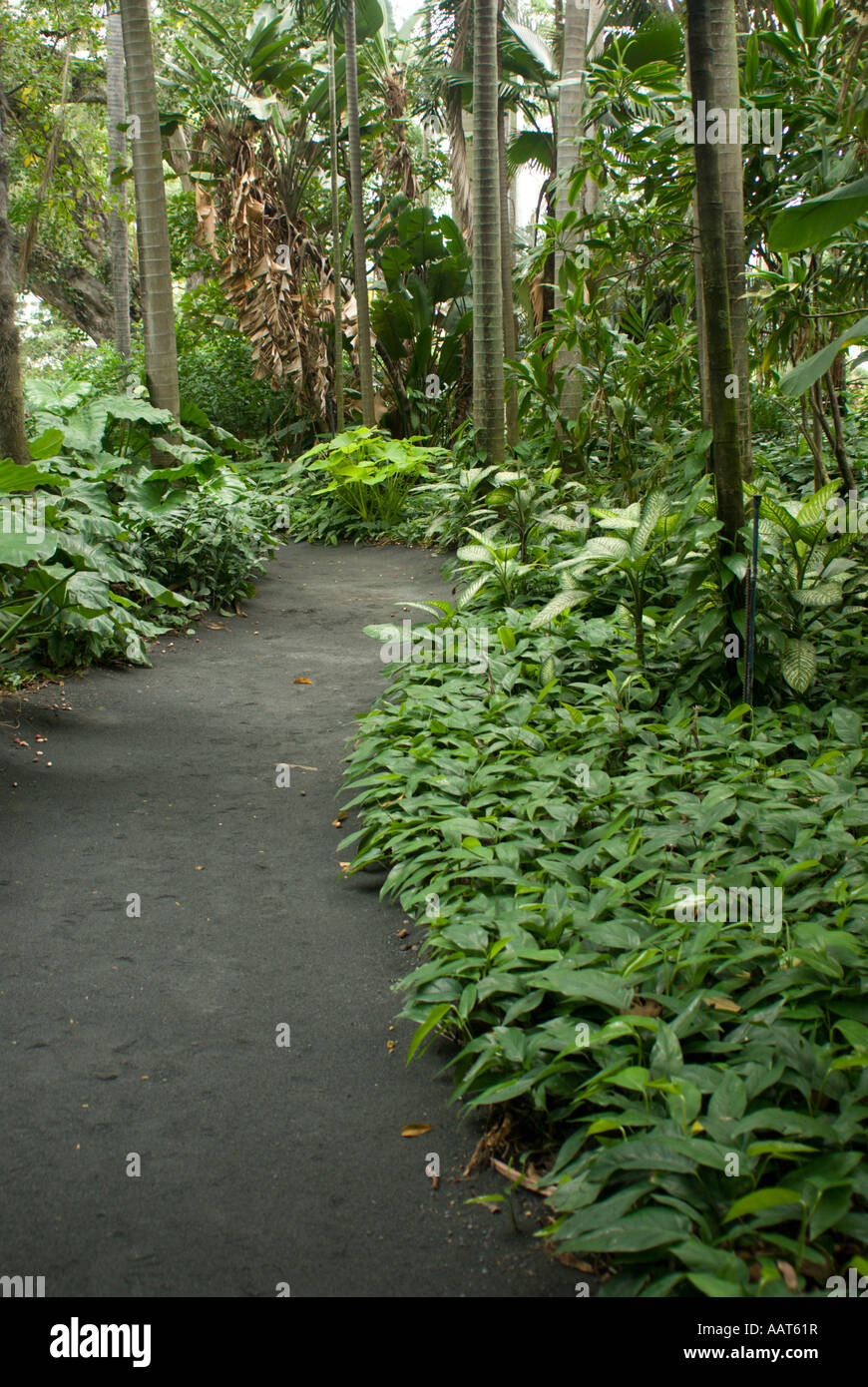 Path In Foster Botanical Garden Honolulu Oahu Hawaii Stock Photo