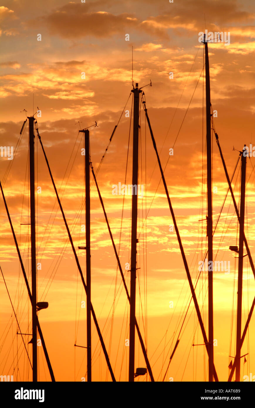 many sailboat masts against a colorful red orange sunset Stock Photo