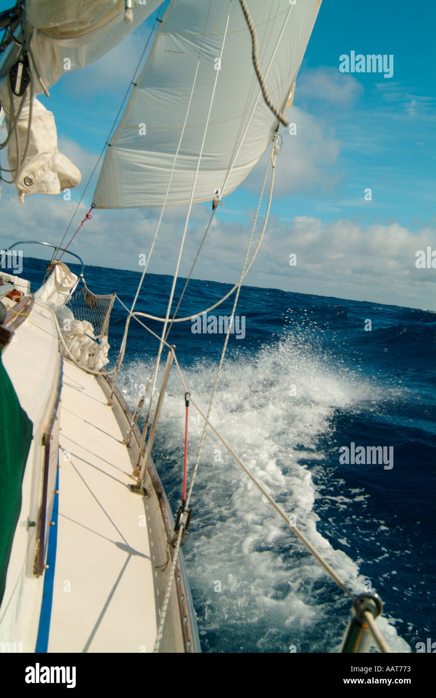 Jacklines hires stock photography and images Alamy