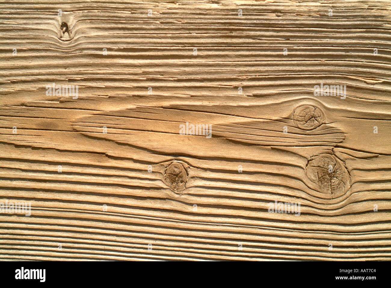 And old weathered board with raised grain Stock Photo Alamy