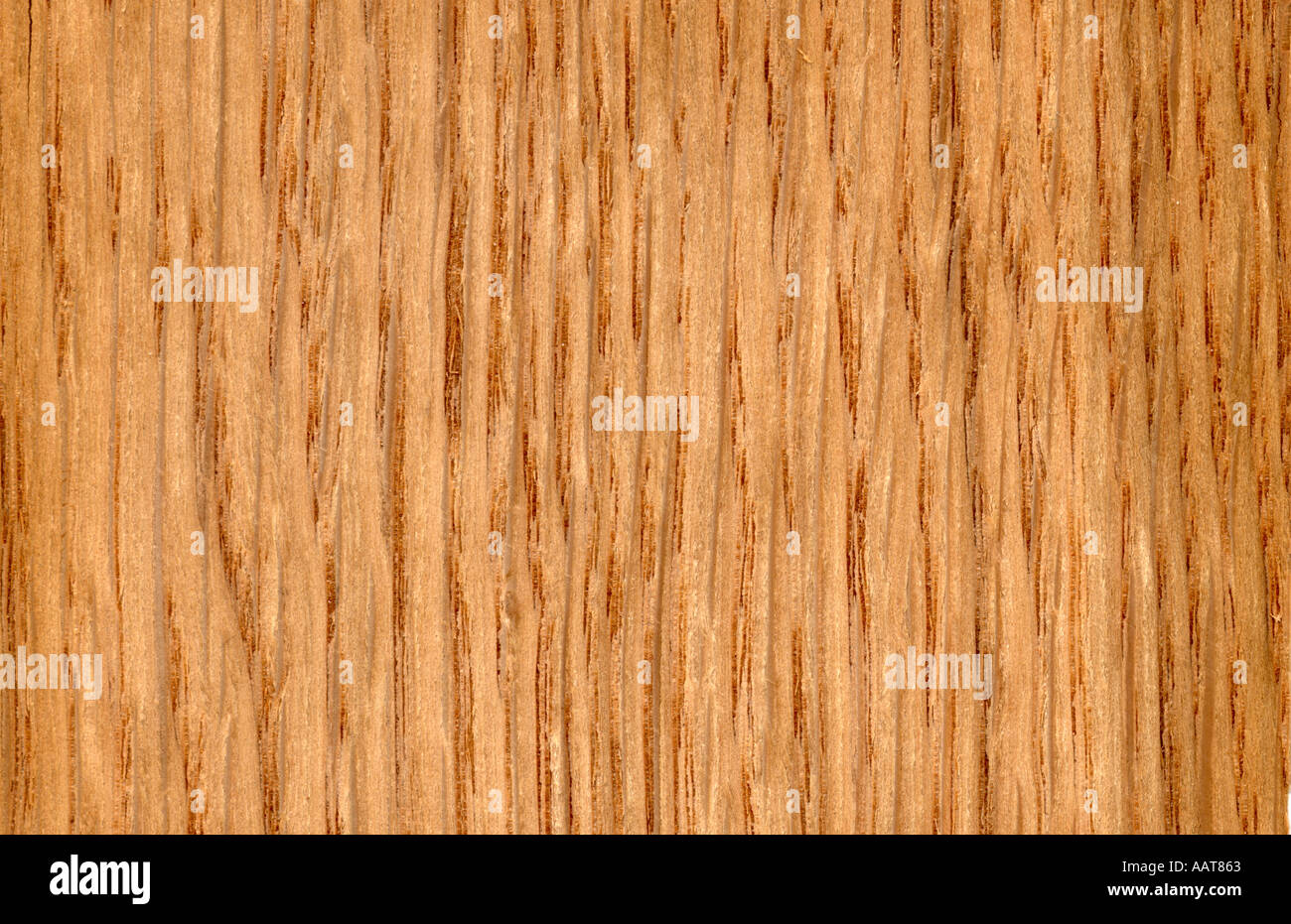 White oak wood grain Quercus alba North America Stock Photo