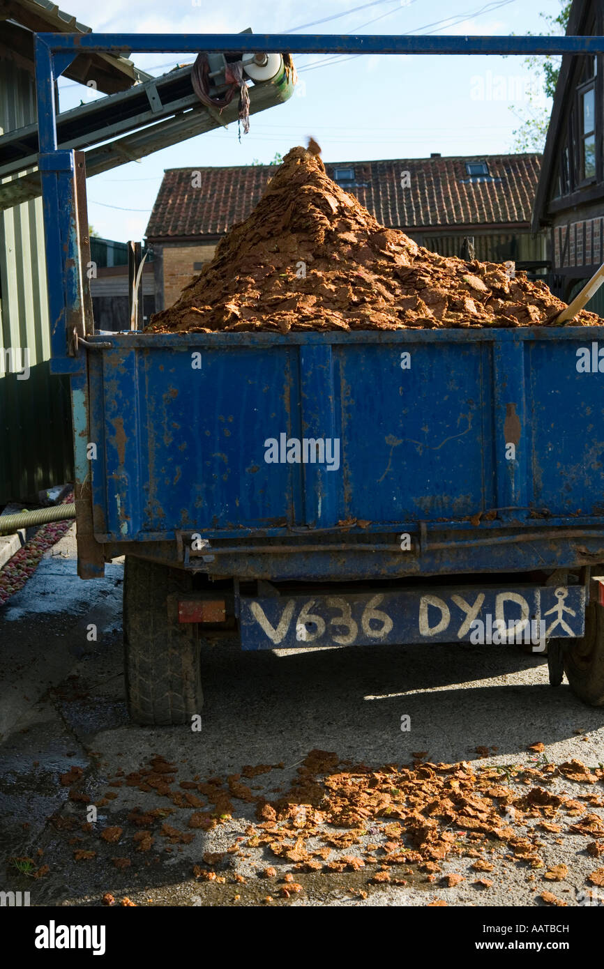Burrow Hill Farm Somerset UK Julian Temperley Traditional cider apple