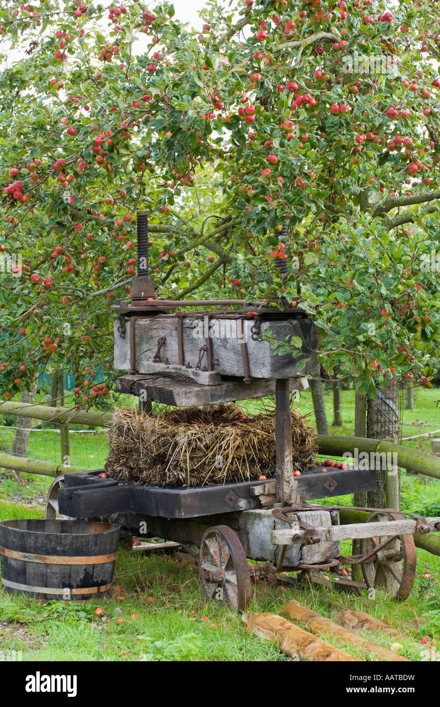 Burrow Hill Farm Somerset UK Julian Temperley Traditional cider apple
