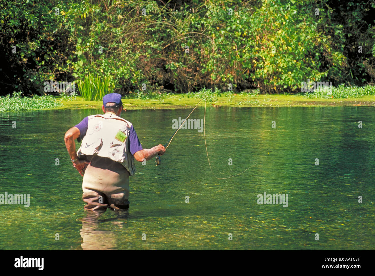 Elk271 4499 Missouri The Ozarks Springs SP fly fishing Stock Photo Alamy